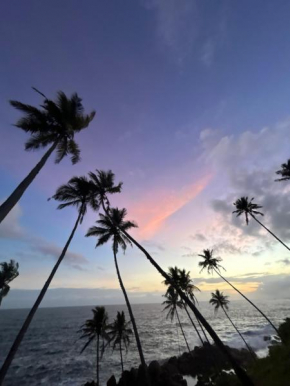 Madhia guest house